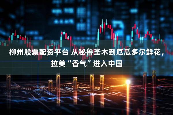 柳州股票配资平台 从秘鲁圣木到厄瓜多尔鲜花，拉美“香气”进入中国