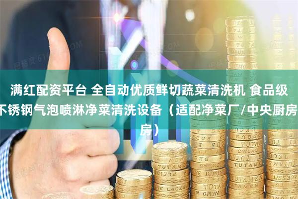 满红配资平台 全自动优质鲜切蔬菜清洗机 食品级不锈钢气泡喷淋净菜清洗设备（适配净菜厂/中央厨房）